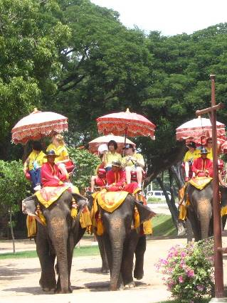 Elephant rides